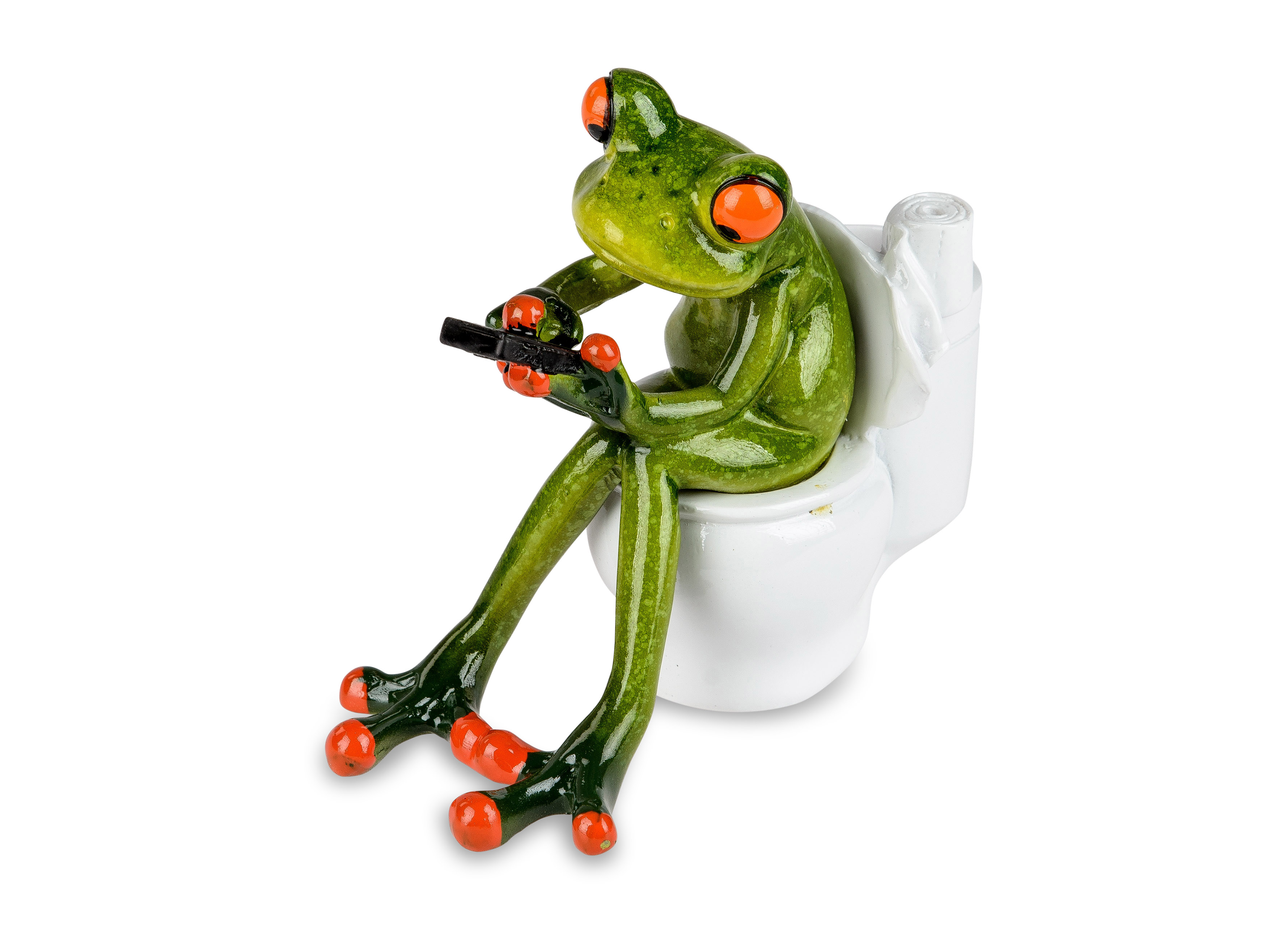 Frosch auf Toilette